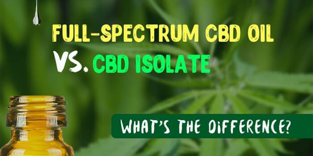 Isolate or Whole Plant CBD? 1